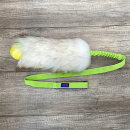 Long Tennis (Planet Dog)