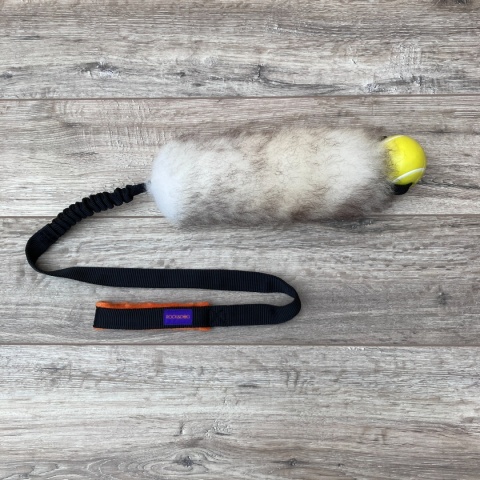 Long Rock Tennis Planet Dog