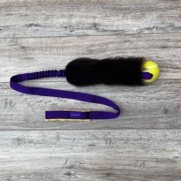 Long Rock Tennis Planet Dog