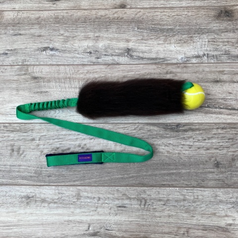 Long Rock Tennis Planet Dog